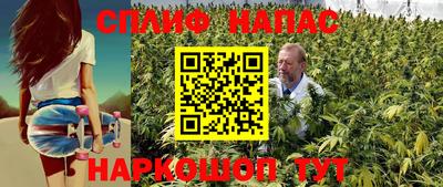Альфа ПВП Славянск-на-Кубани