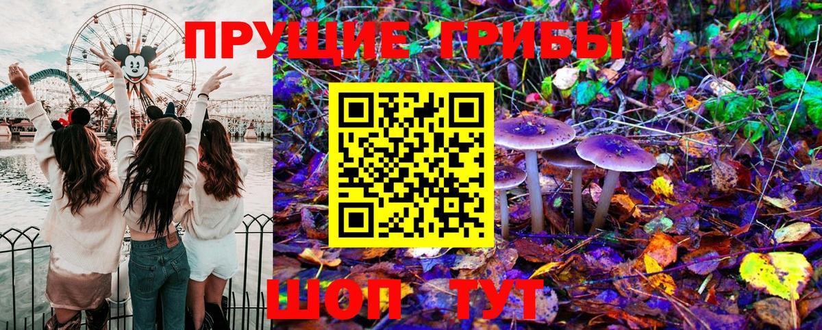 Галлюциногенные грибы GOLDEN TEACHER Майкоп