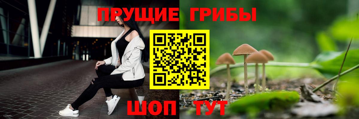 Галлюциногенные грибы прущие грибы  Вход с VPN  как найти закладки  Майкоп 